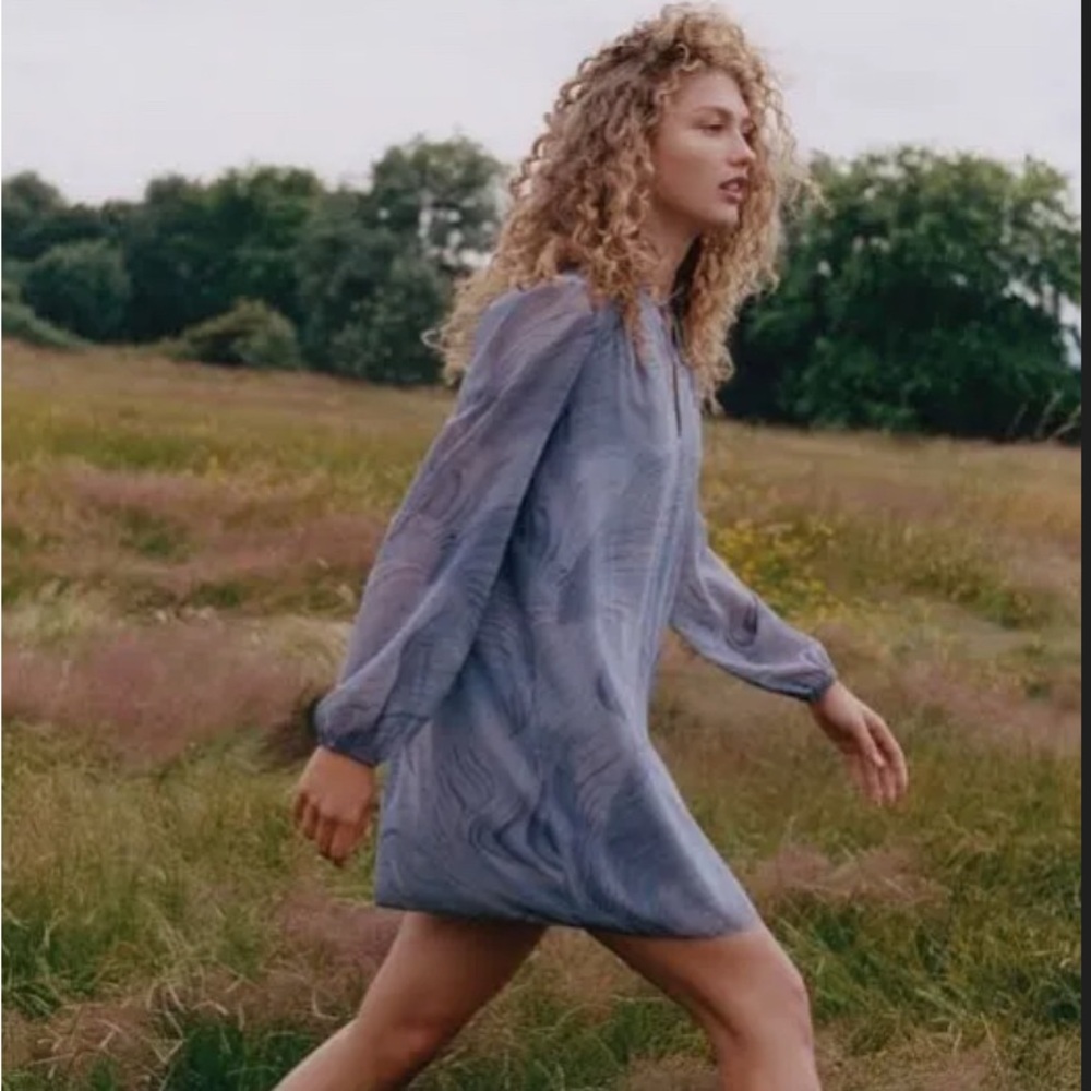Elegant Grey Wilfred Dress